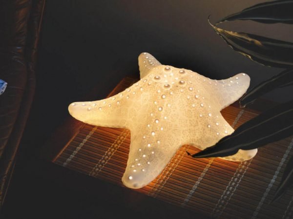 star fish lamp